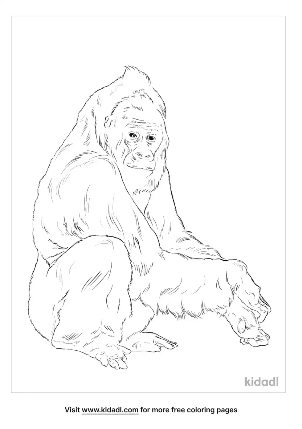 Western Lowland Gorilla Coloring Page