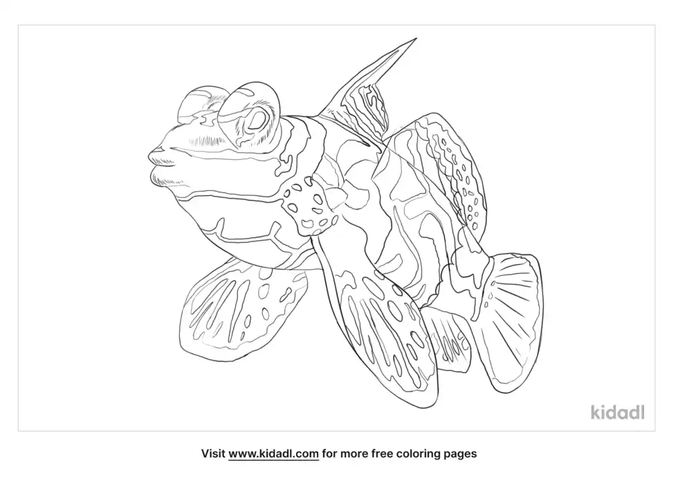 Mandarinfish Coloring Page