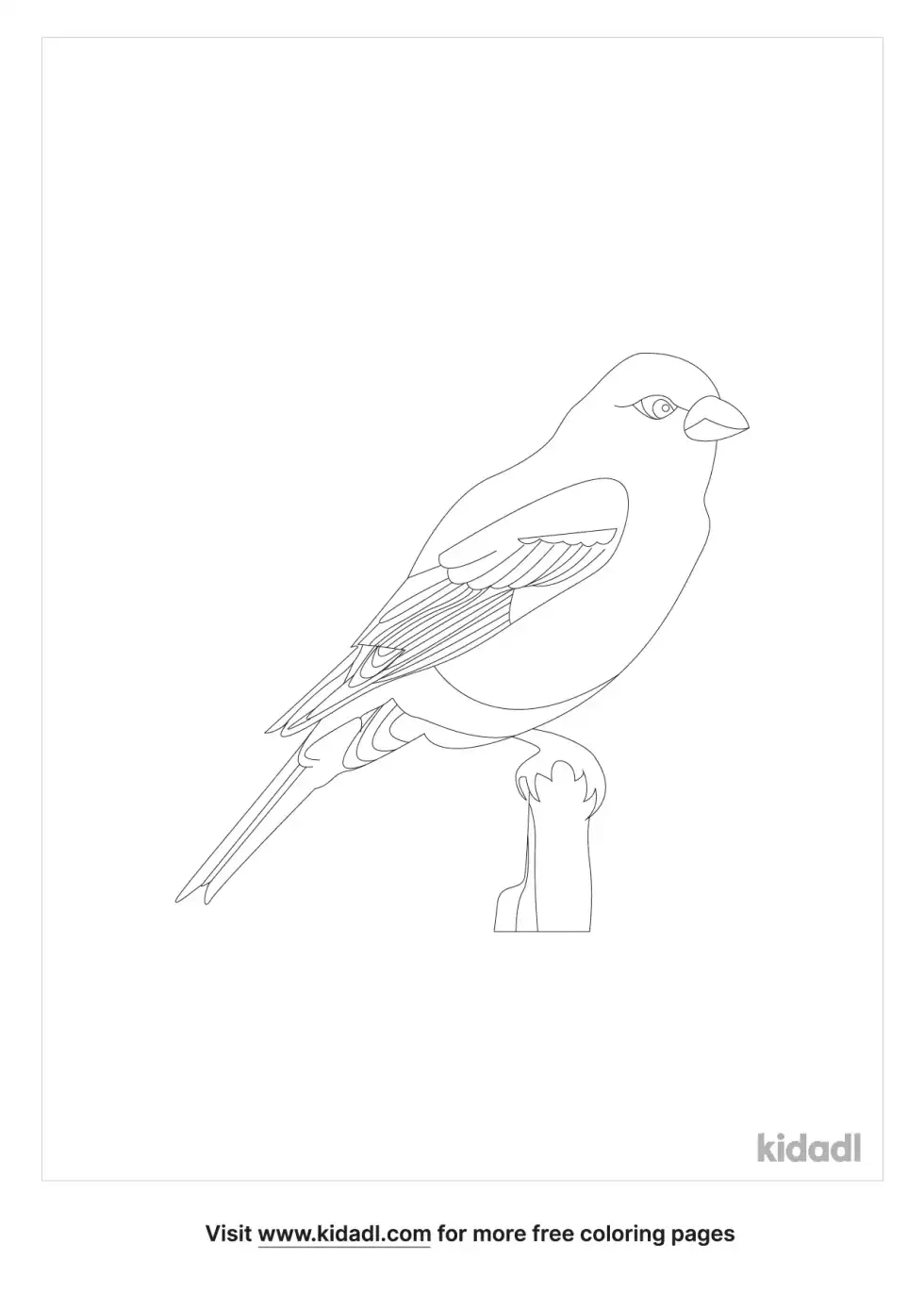 Grosbeak Coloring Page