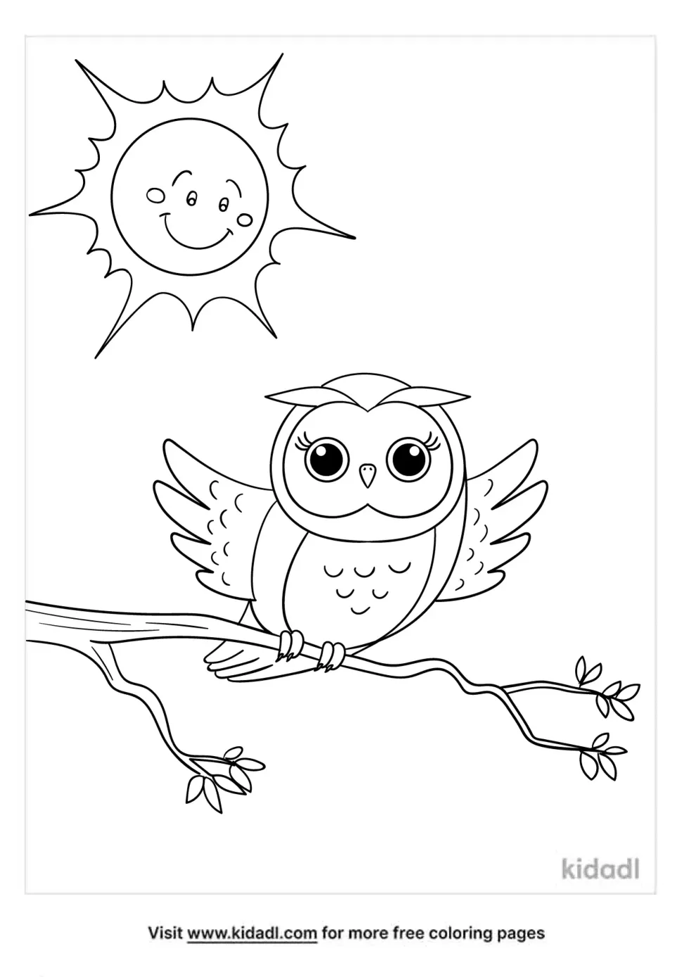 Owl And Sun