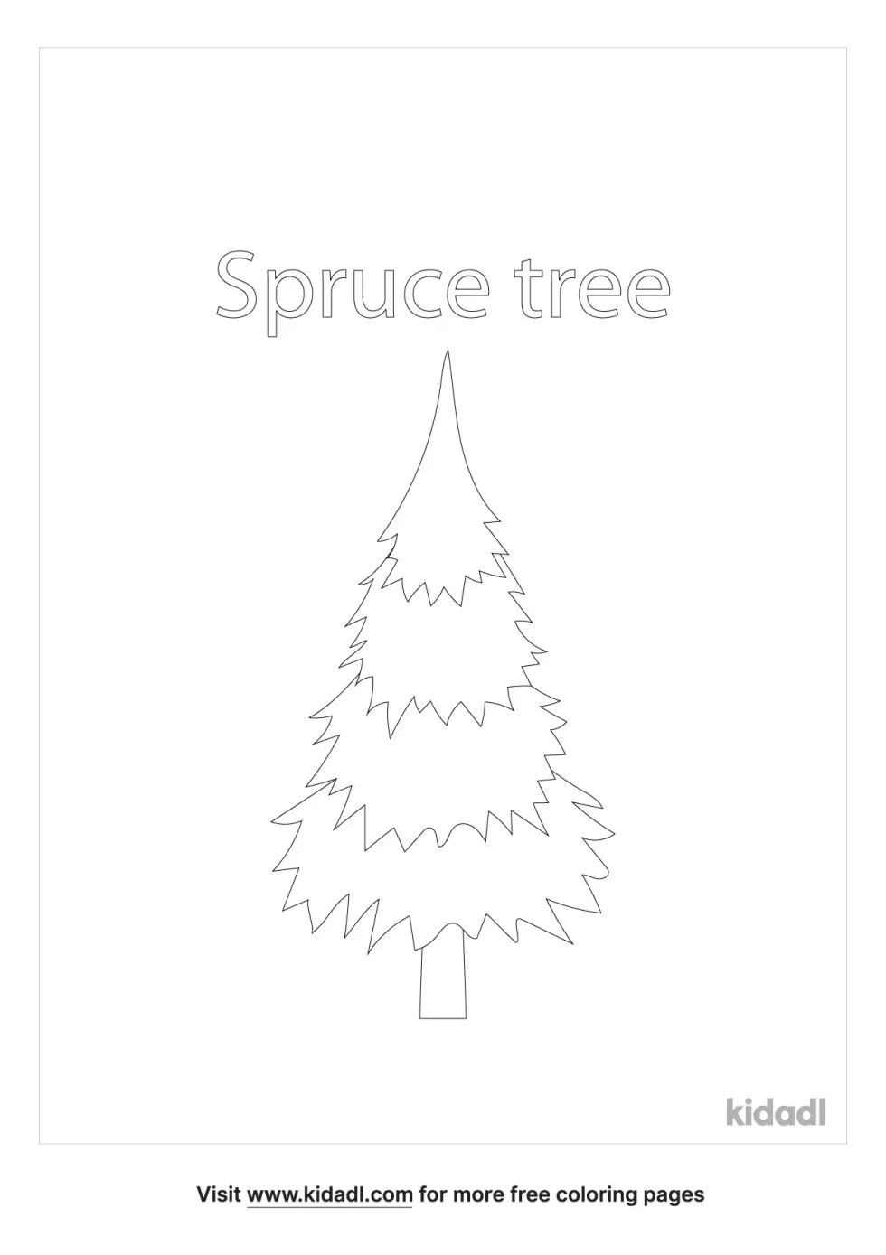 Spruce Coloring Page