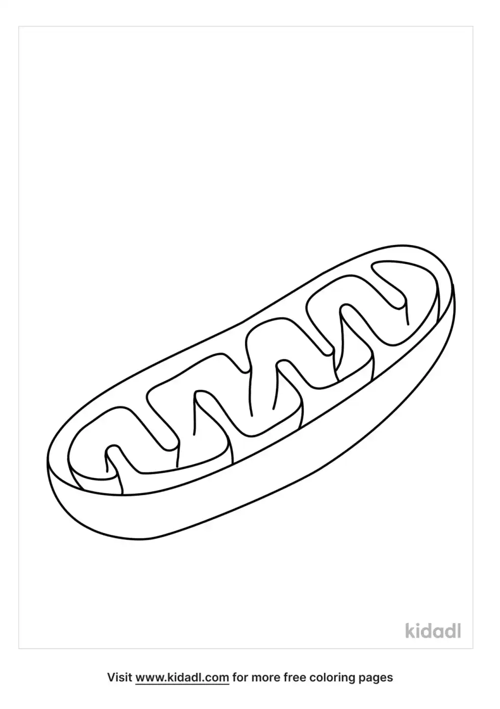 Mitochondria Coloring Page