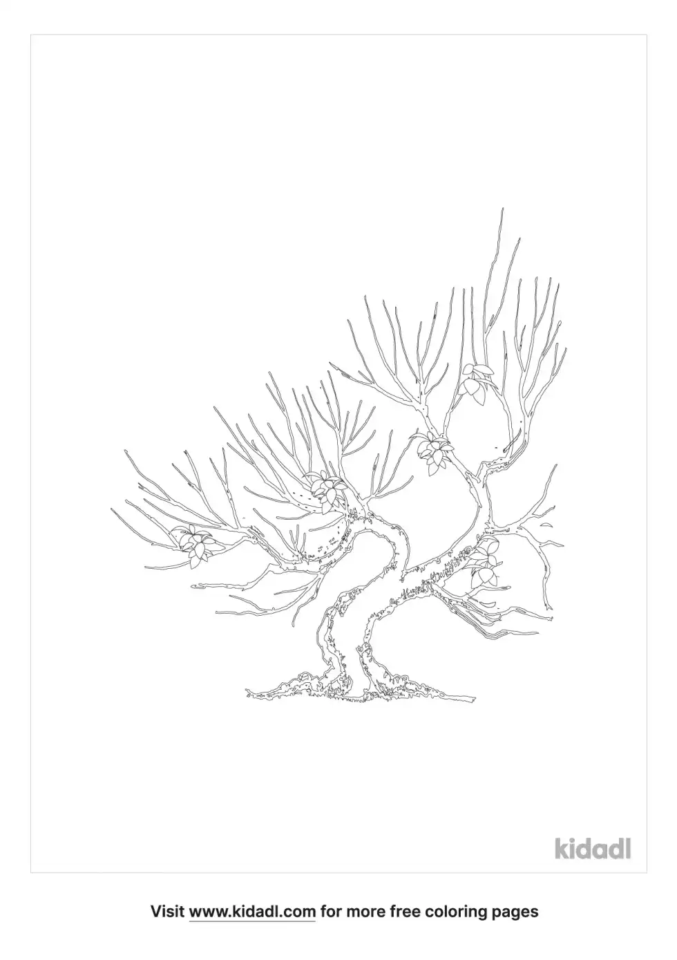 Old Trees Coloring Page