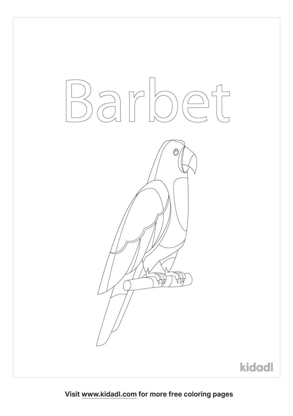Barbet Coloring Page
