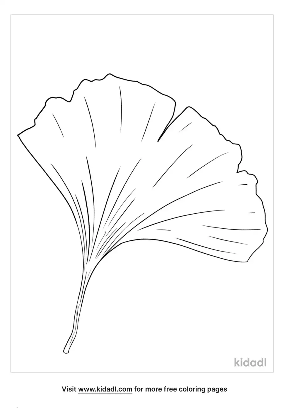 Ginkgo Leaf Coloring Page