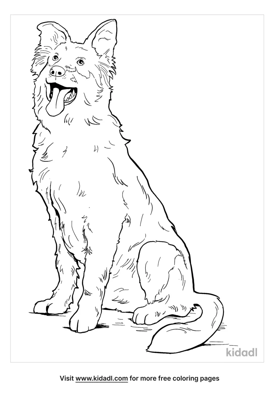 Shepherd Collie Mix Coloring Page