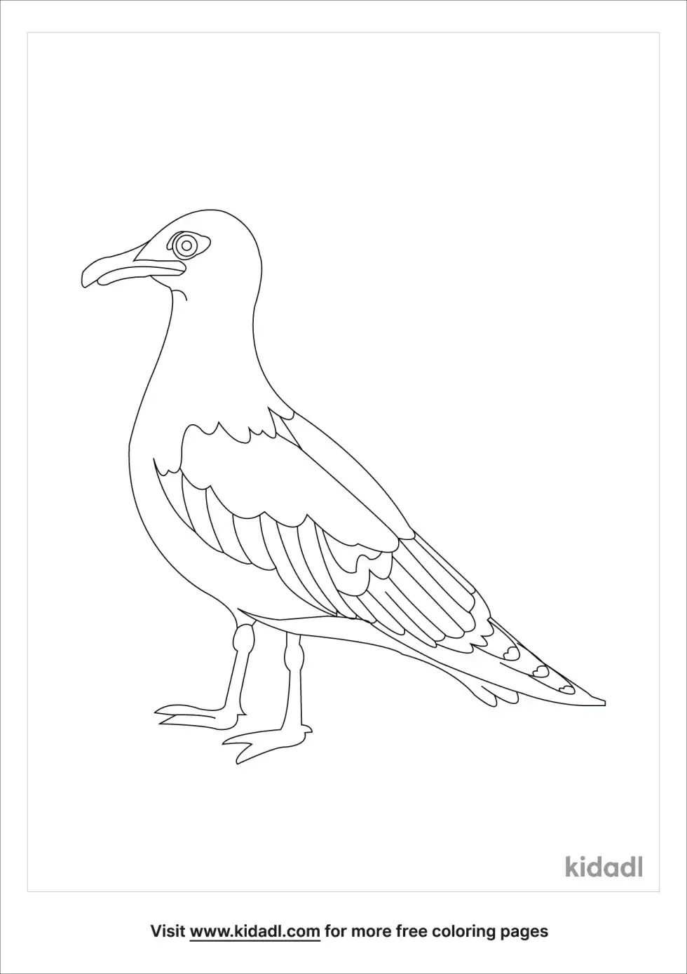 California Gull Coloring Page