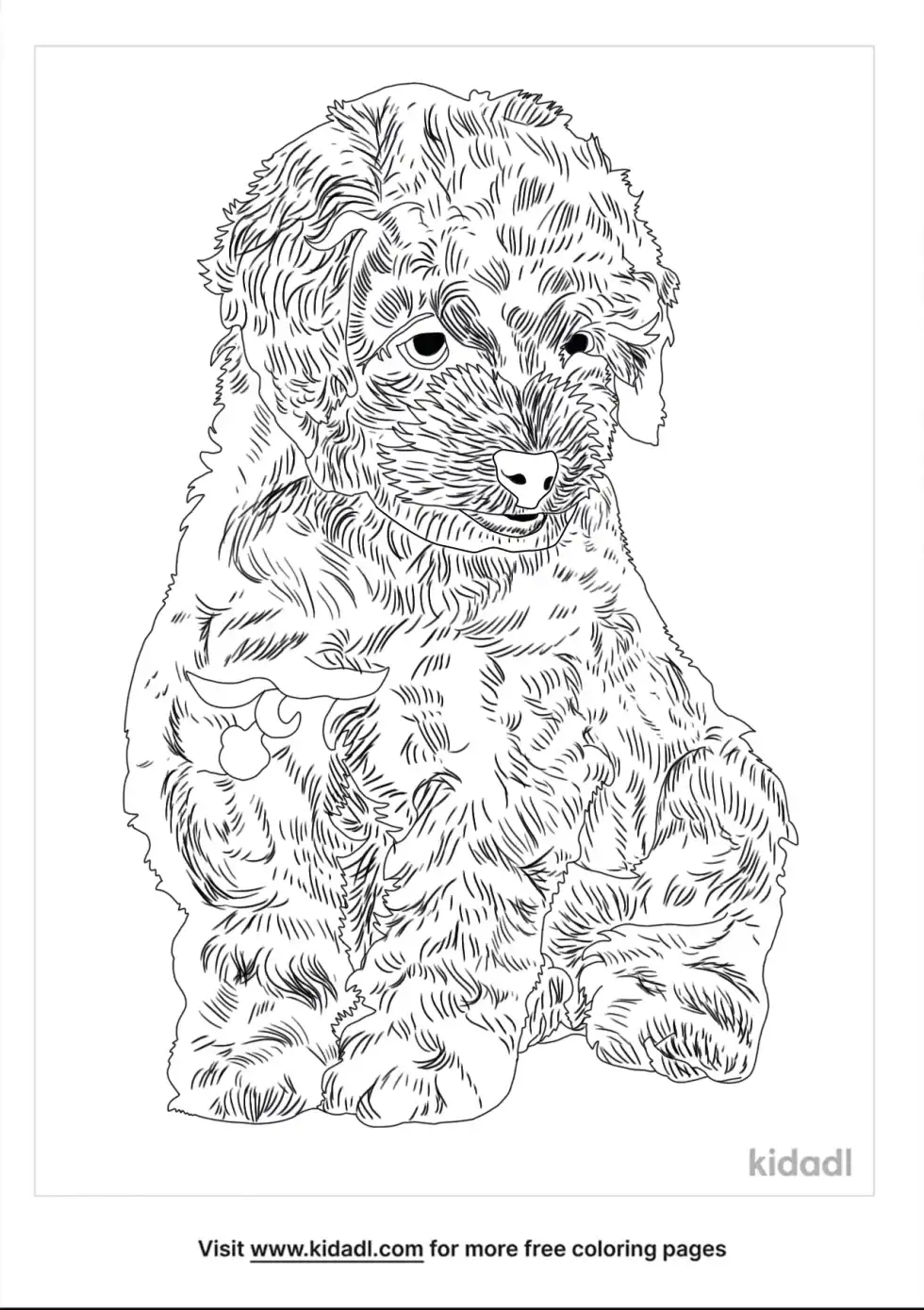 Boxerdoodle Coloring Page