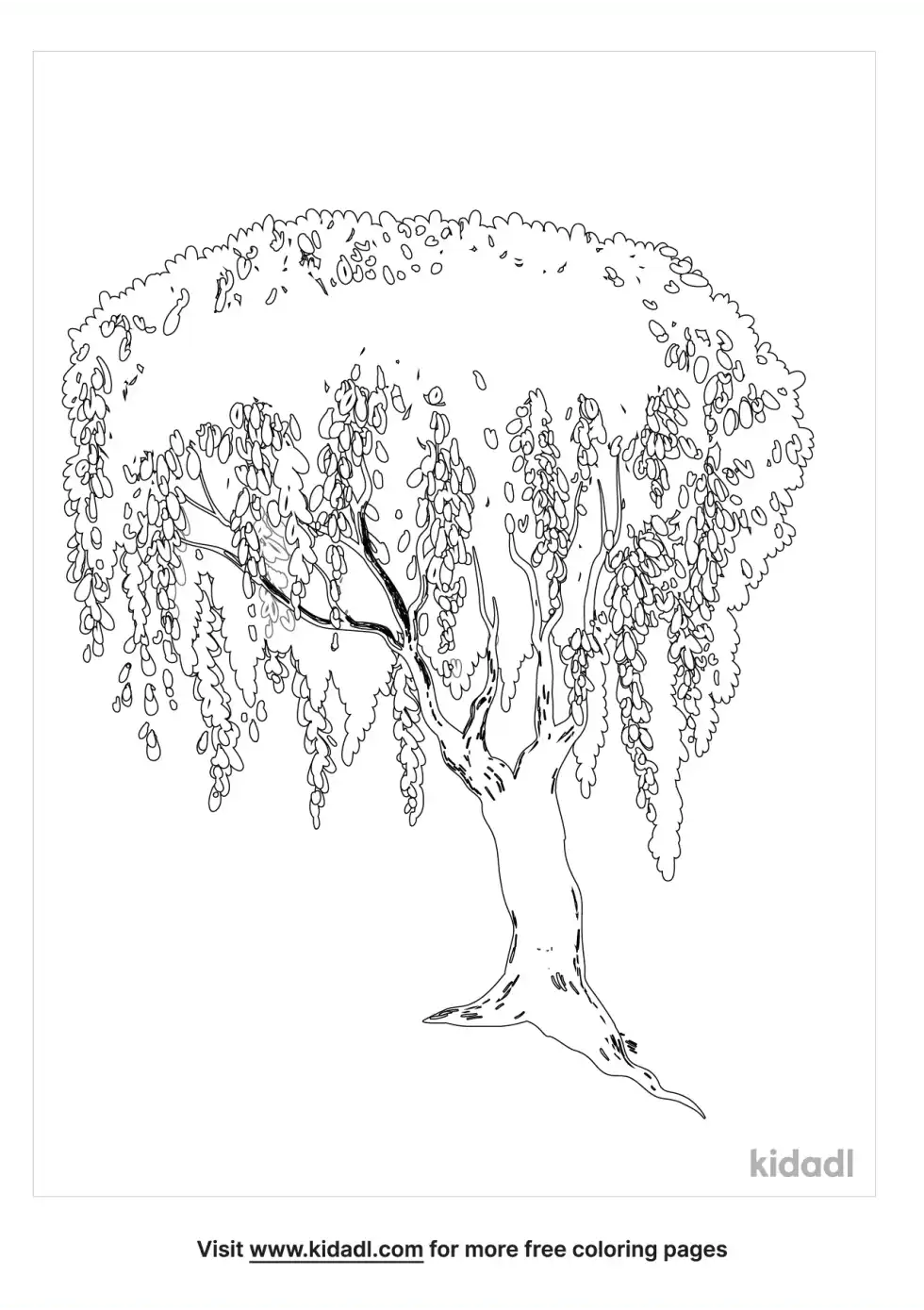 Willow Coloring Page