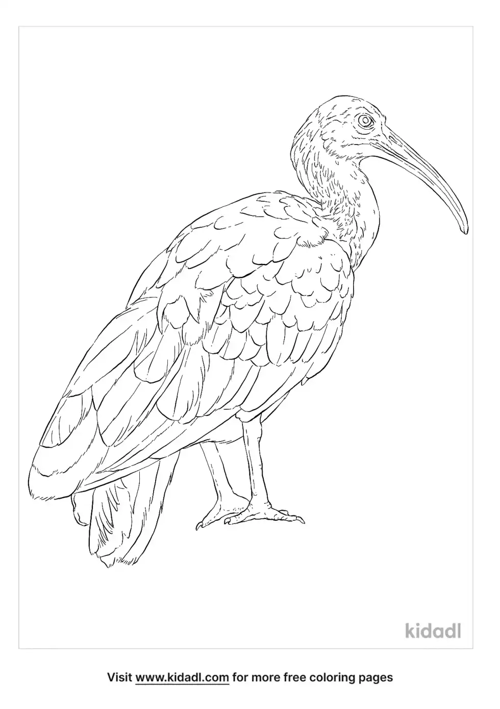Green Ibis Coloring Page