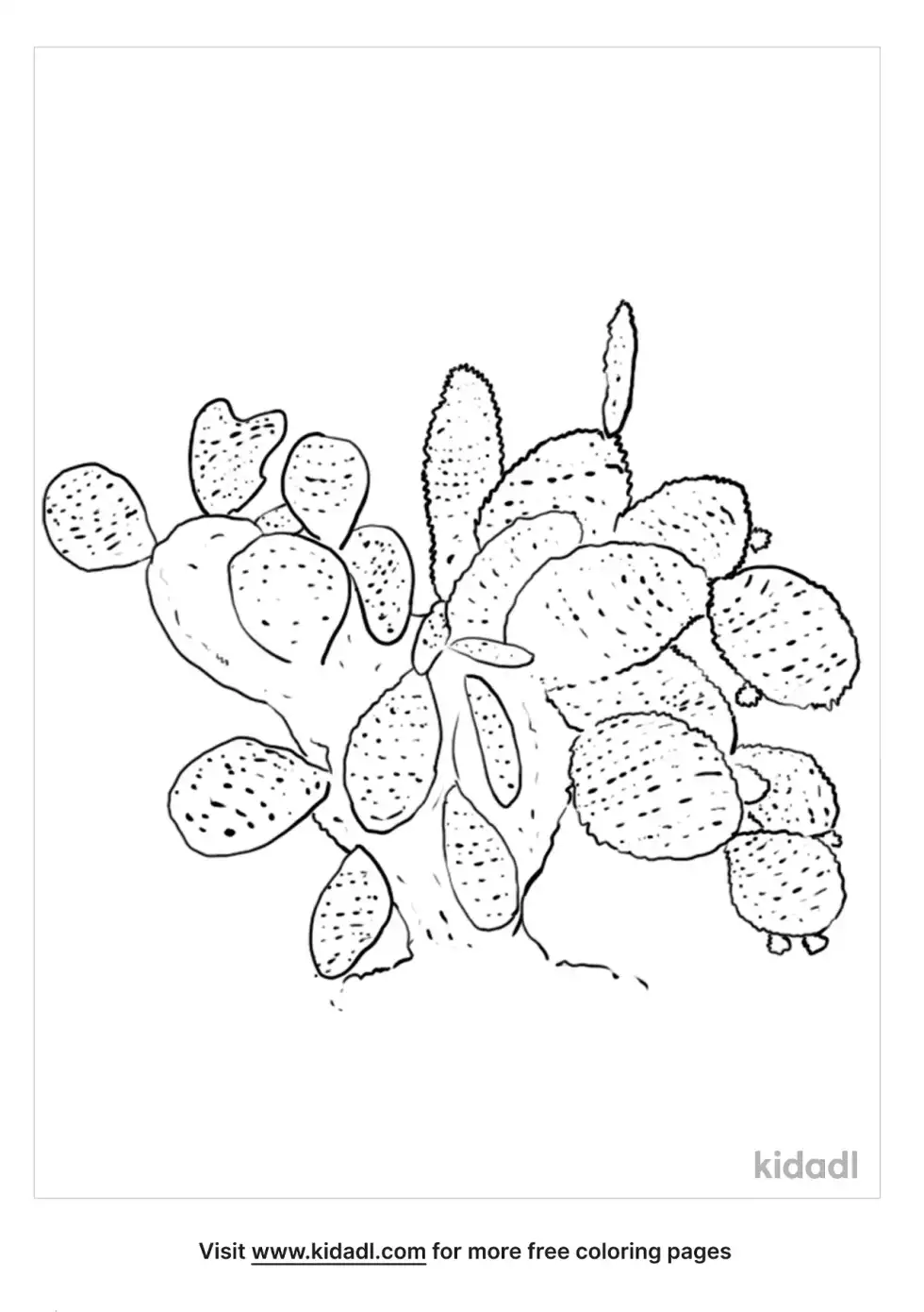 Sesuvium Edmonstonei Coloring Page