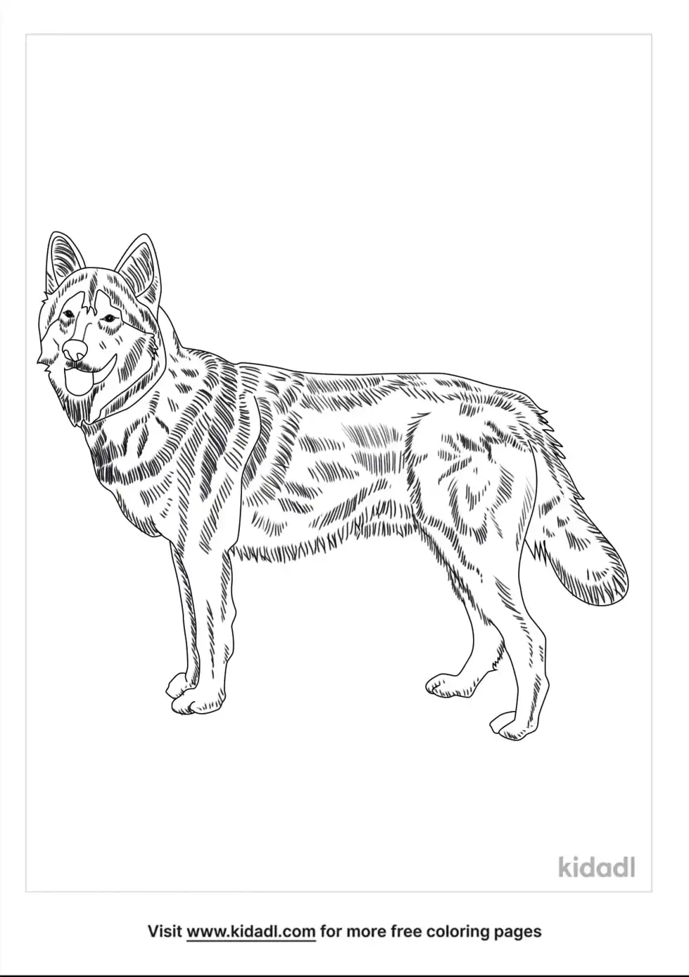 Wolamute Coloring Page