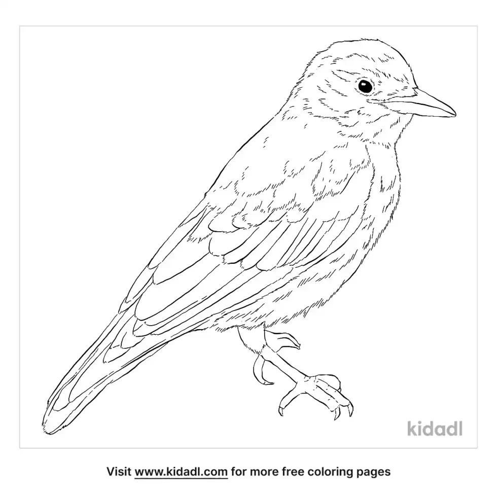 Nutcracker (bird) Coloring Page