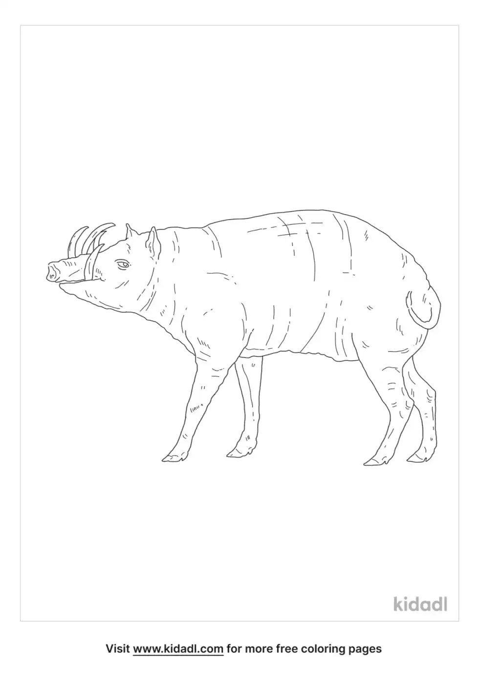 Babirusa Coloring Page