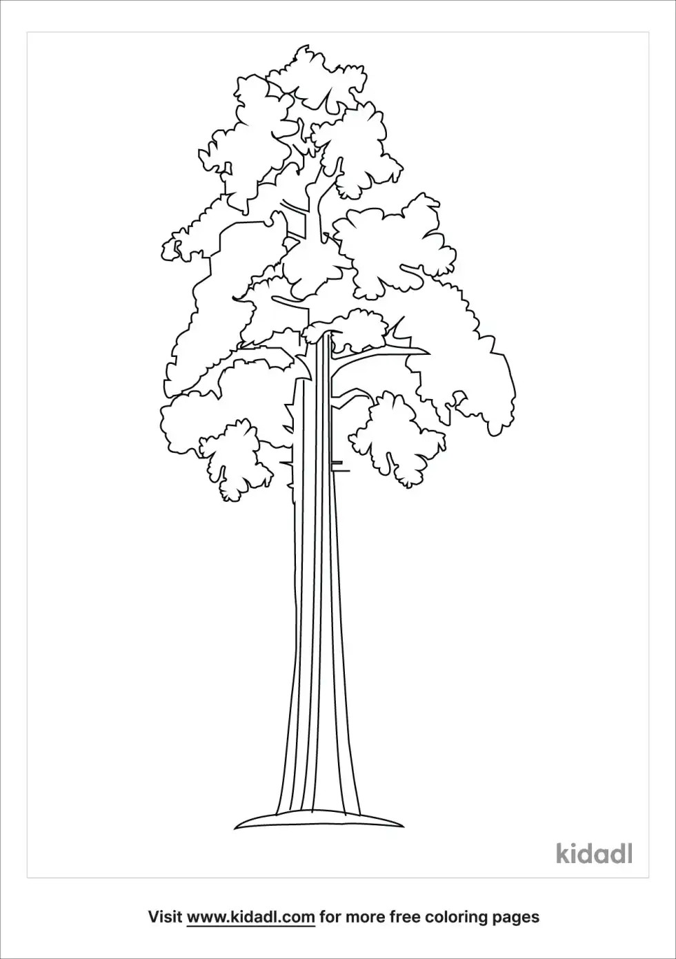 Sequoia Coloring Page