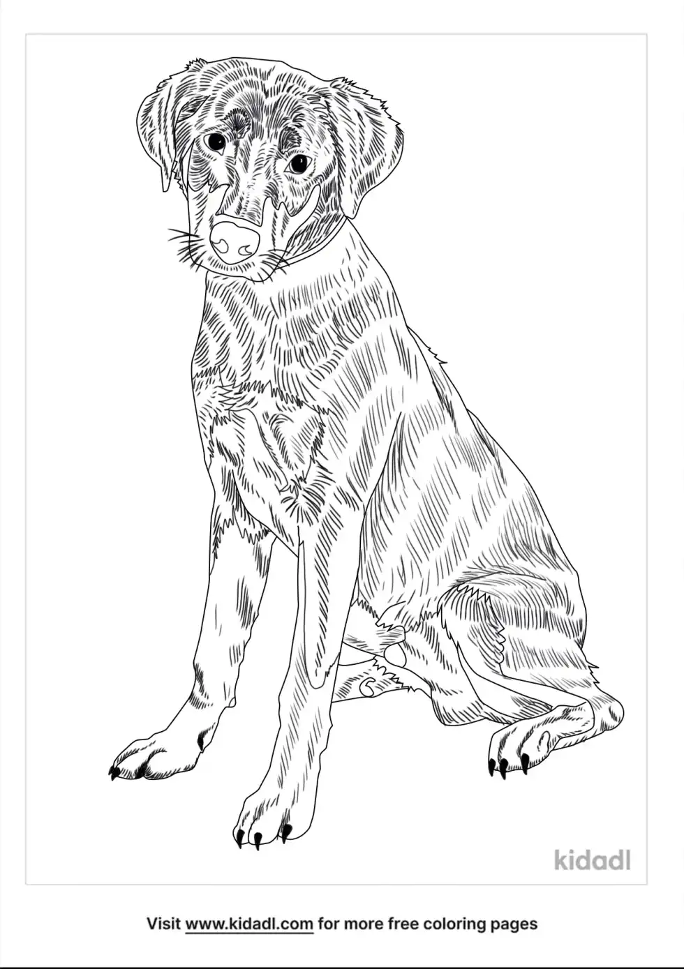 Rottweiler Lab Mix Coloring Page
