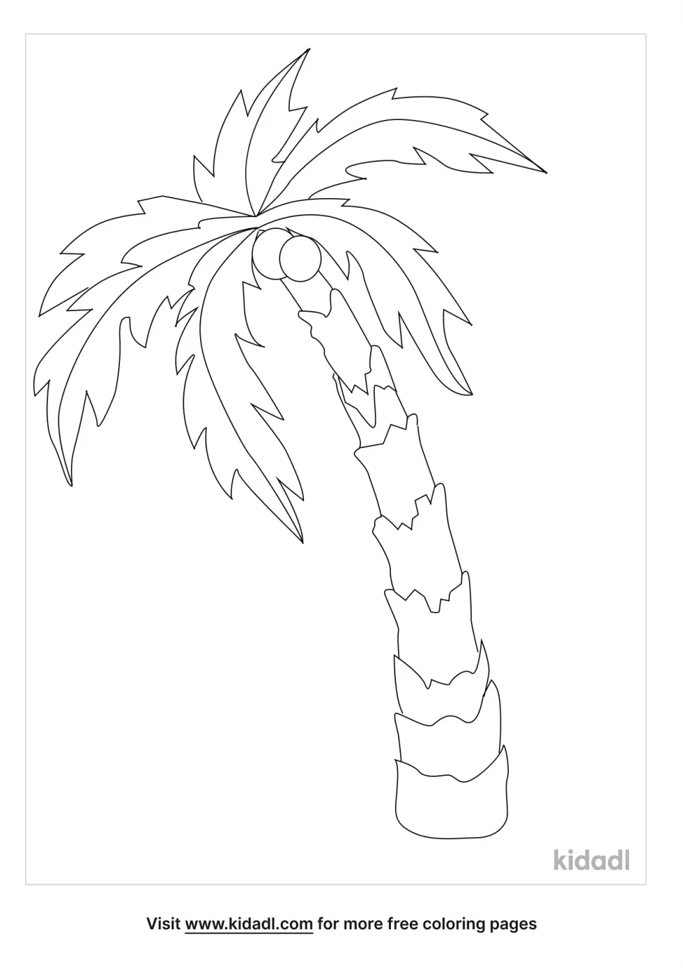 Sabal Palm Coloring Page