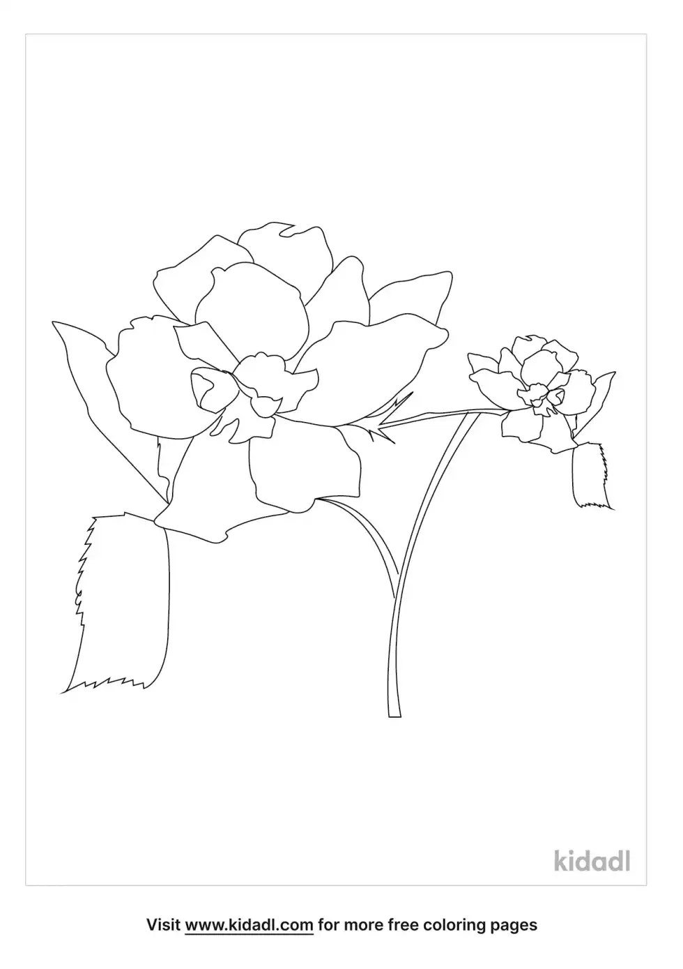 Gothic Flowers Coloring Page