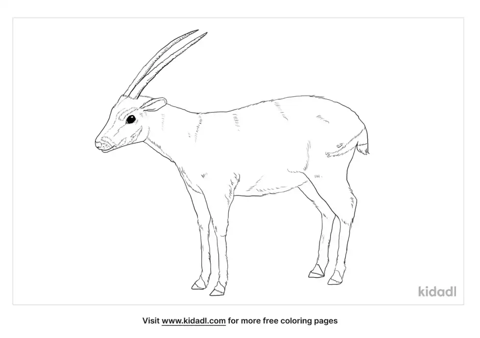 Saola Coloring Page