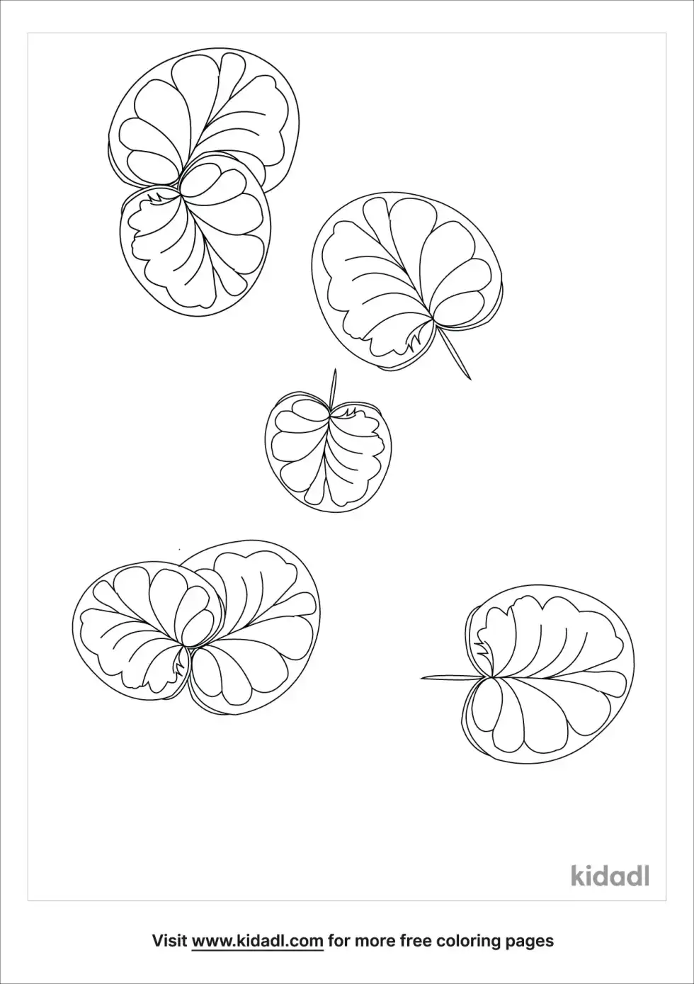 Aerial View Of Lily Pads Coloring Page