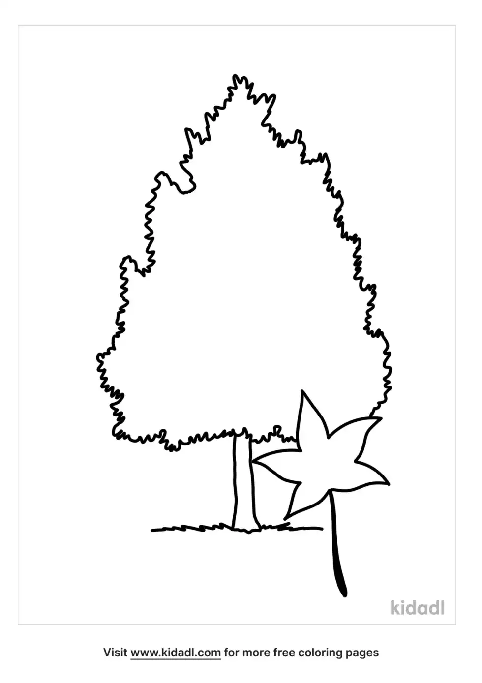 Sweet Gum Tree Coloring Page