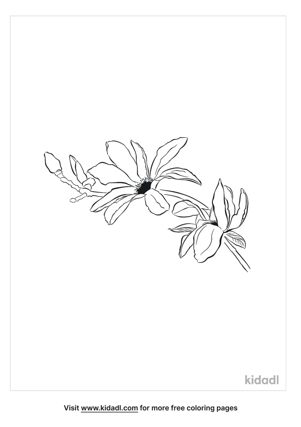 Magnolia Coloring Page