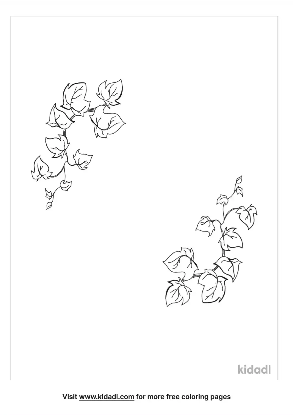 Vine Borders Coloring Page