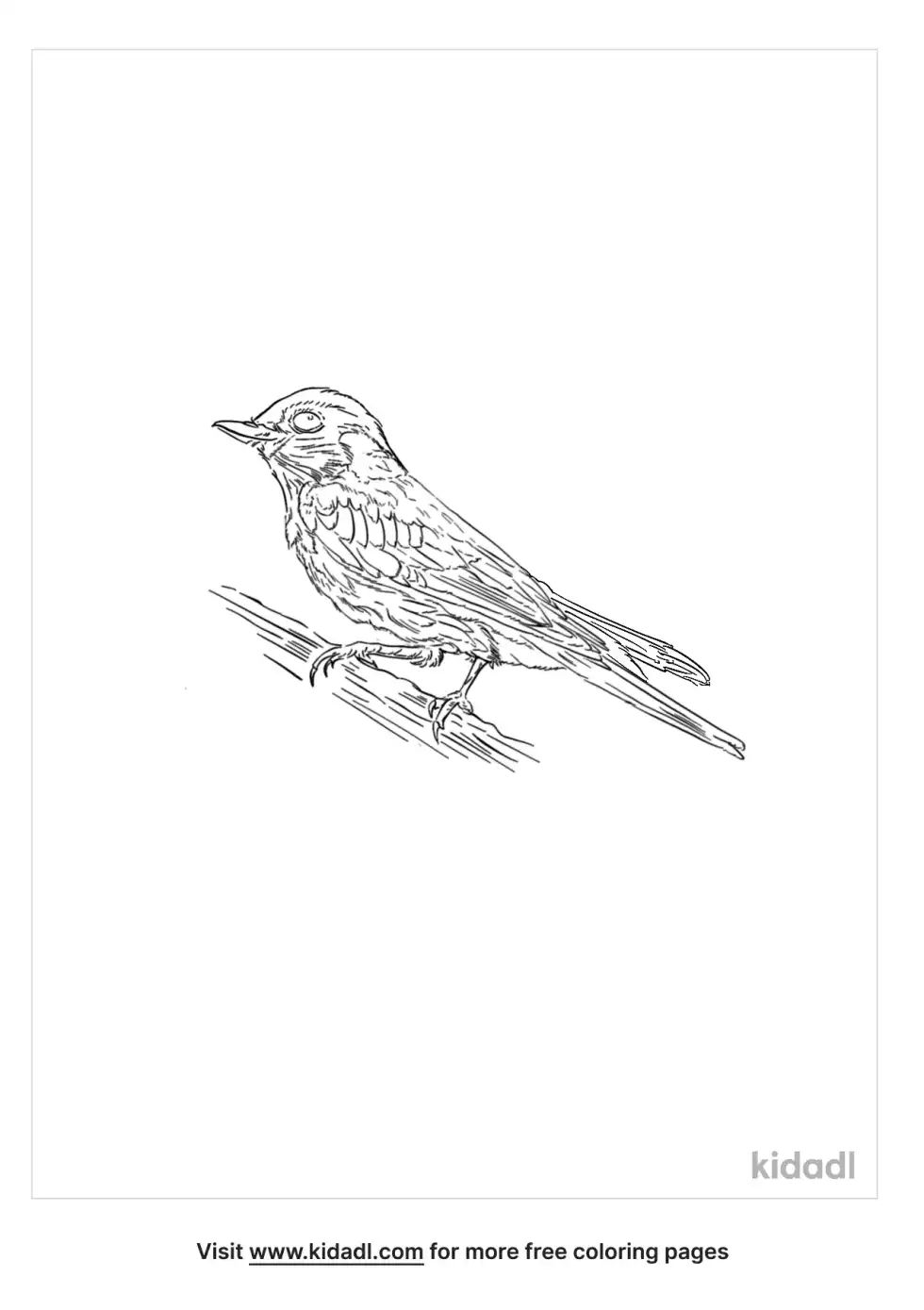 Dusky Thrush Coloring Page