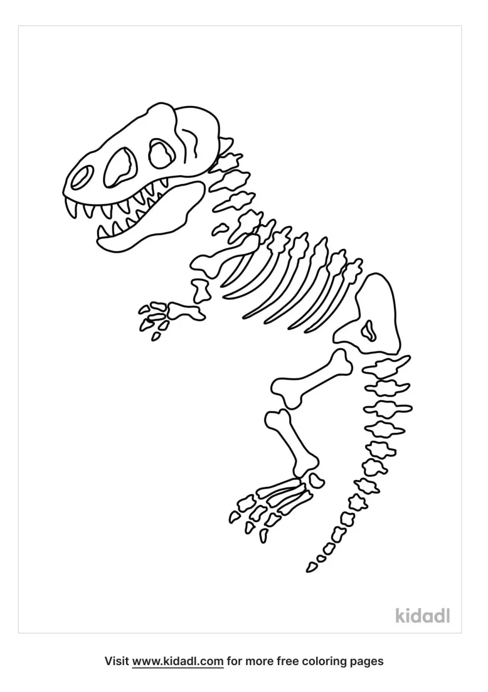 T Rex Fossil | Kidadl