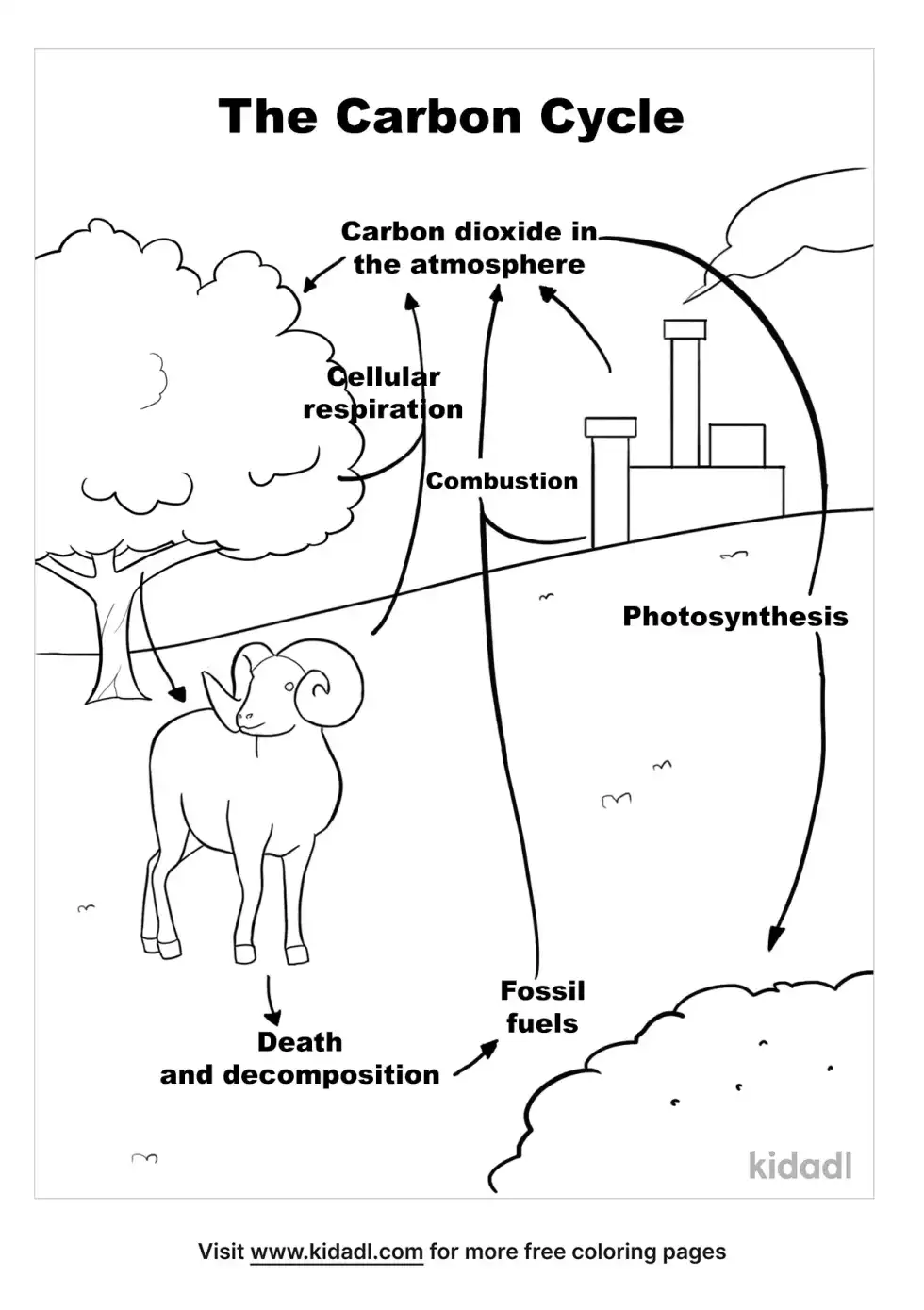 Chemical Cycle Coloring Page