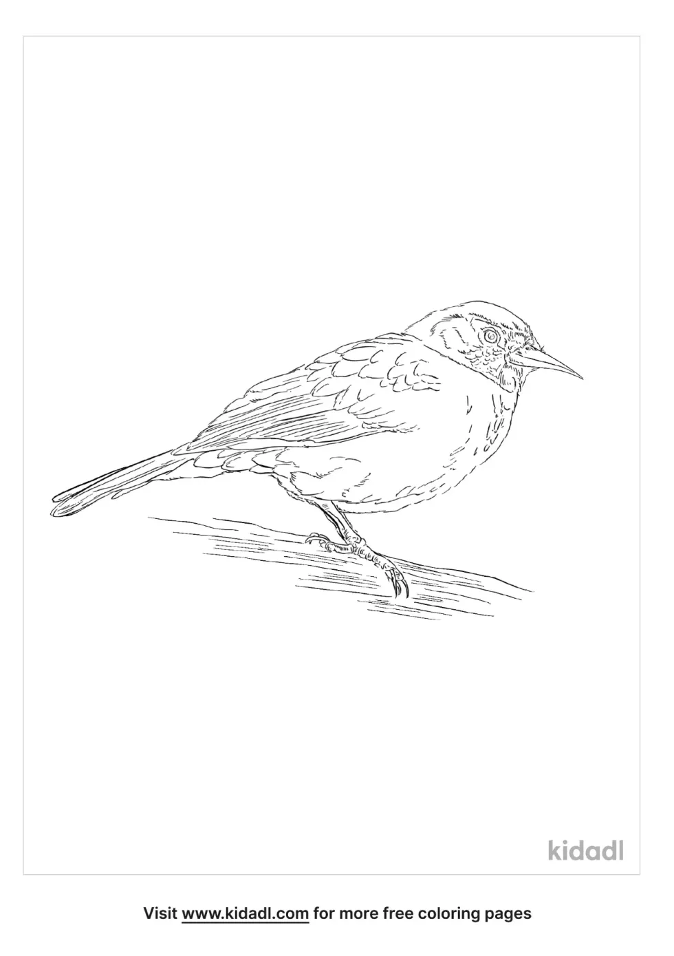 Eurasian Treecreeper Coloring Page