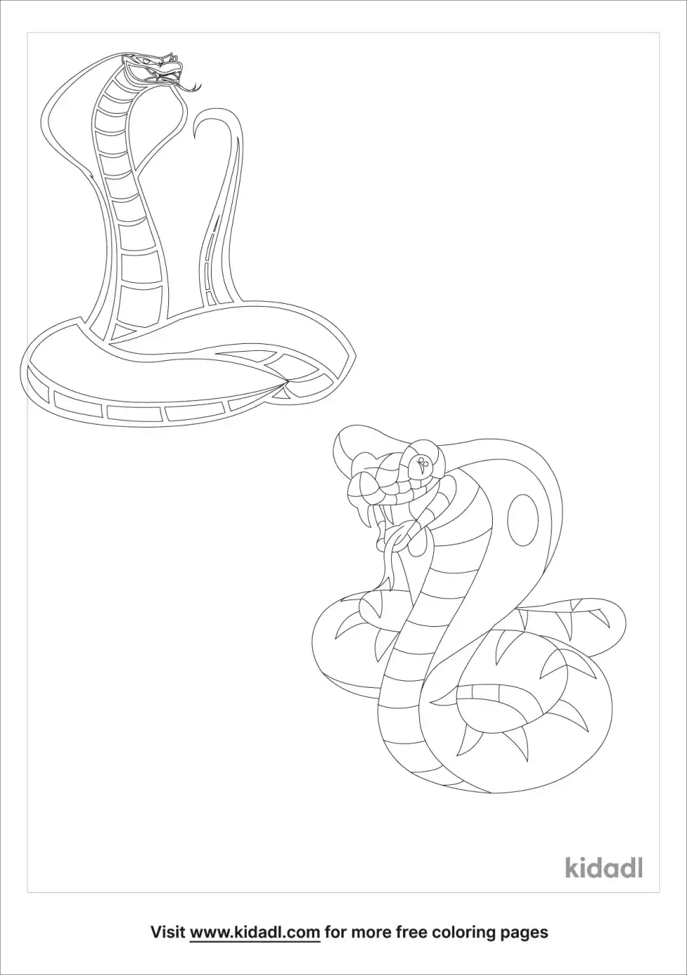 Cobra And Viper Coloring Page