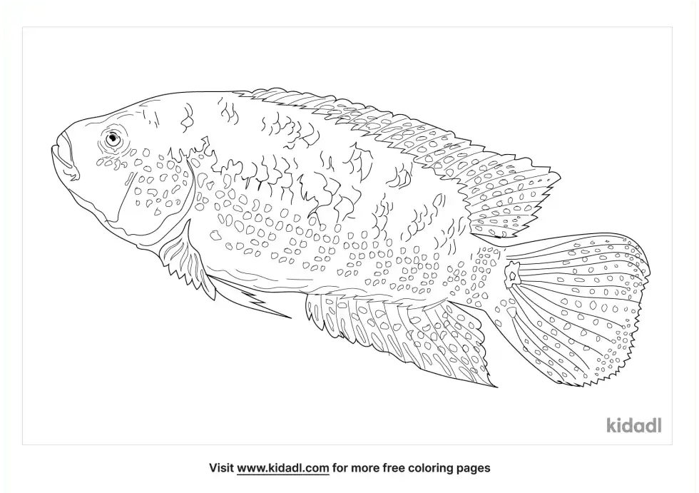 Jack Dempsey Coloring Page