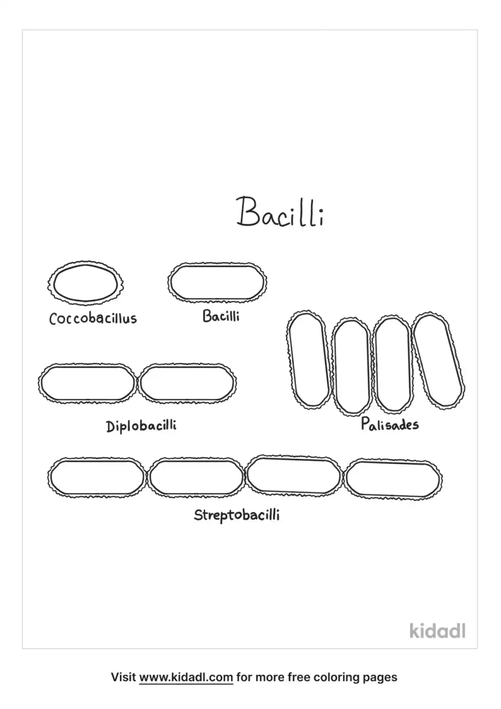 Coccobacillus Coloring Page