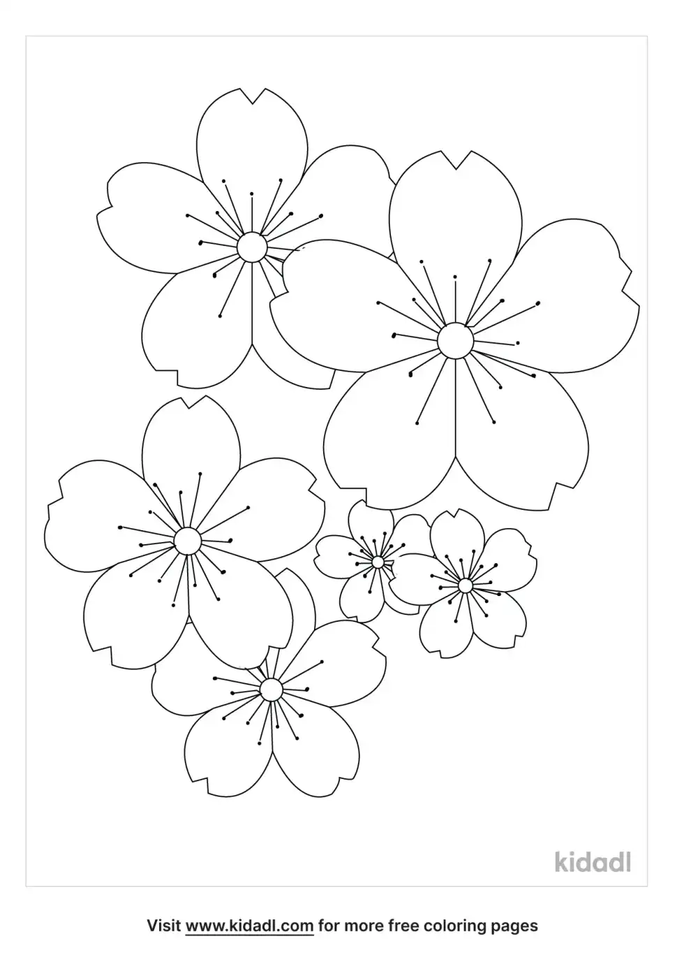 Sakura Flower Coloring Page