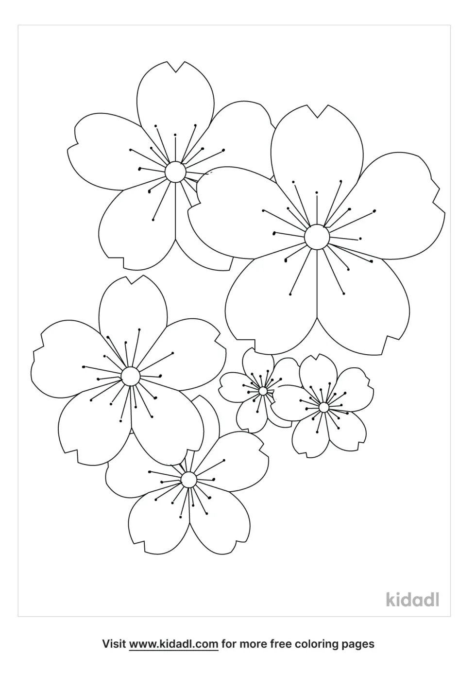 Sakura Flower Coloring Page