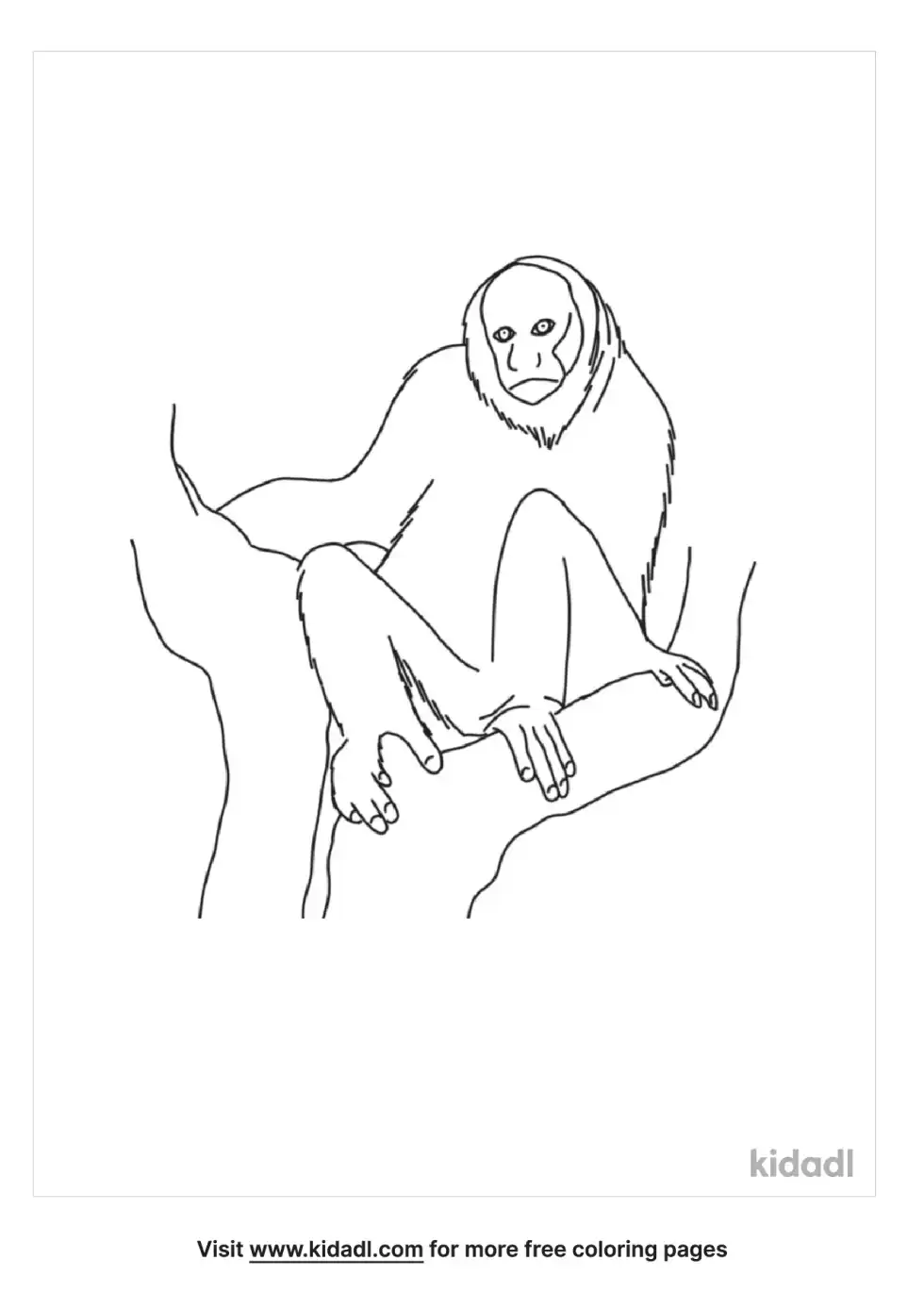 Uakari Coloring Page