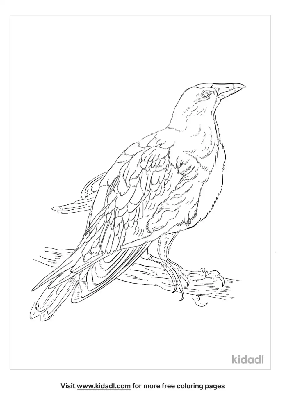 Giant Cowbird Coloring Page