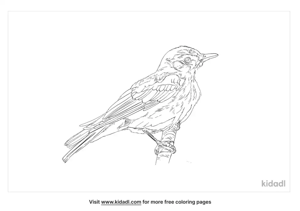 Desert Lark Coloring Page