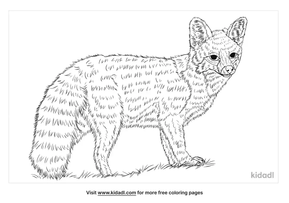 Island Fox Coloring Page
