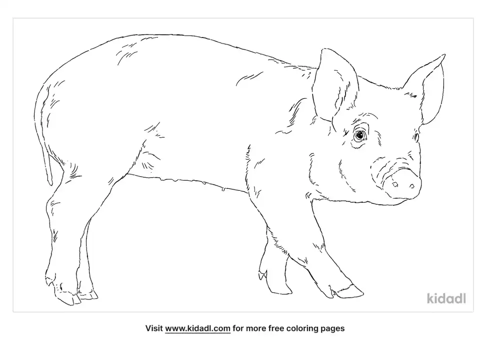 Pigs Coloring Page