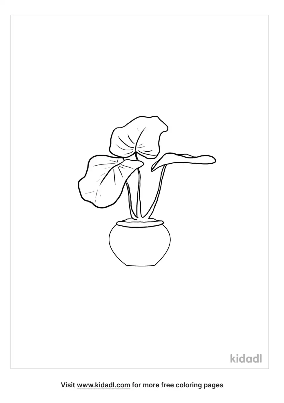 Tropical Plant Coloring Page