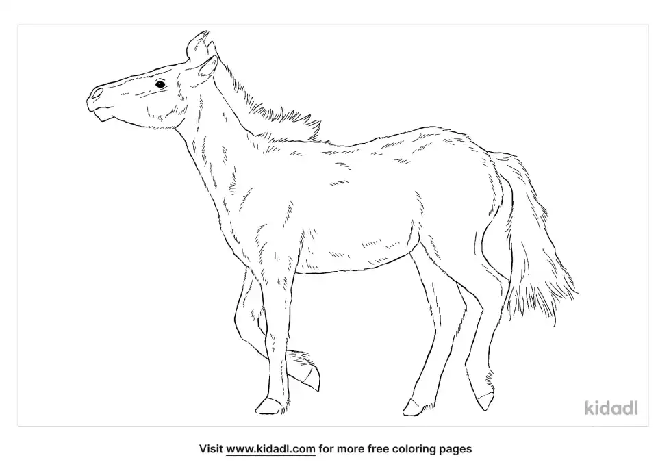 Tarpan Coloring Page