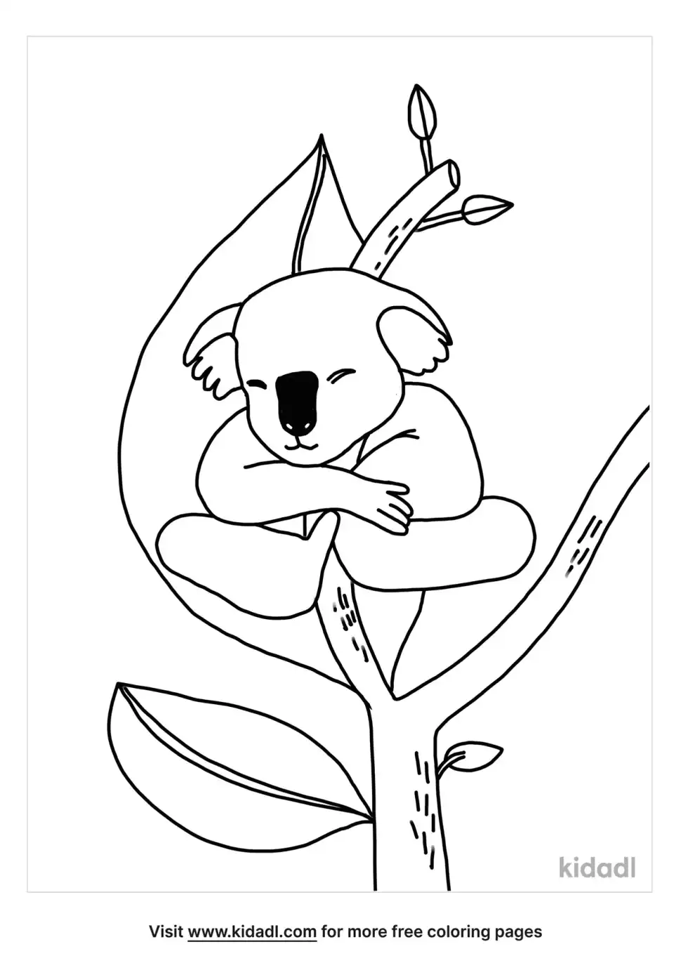 Koala Bear Coloring Page