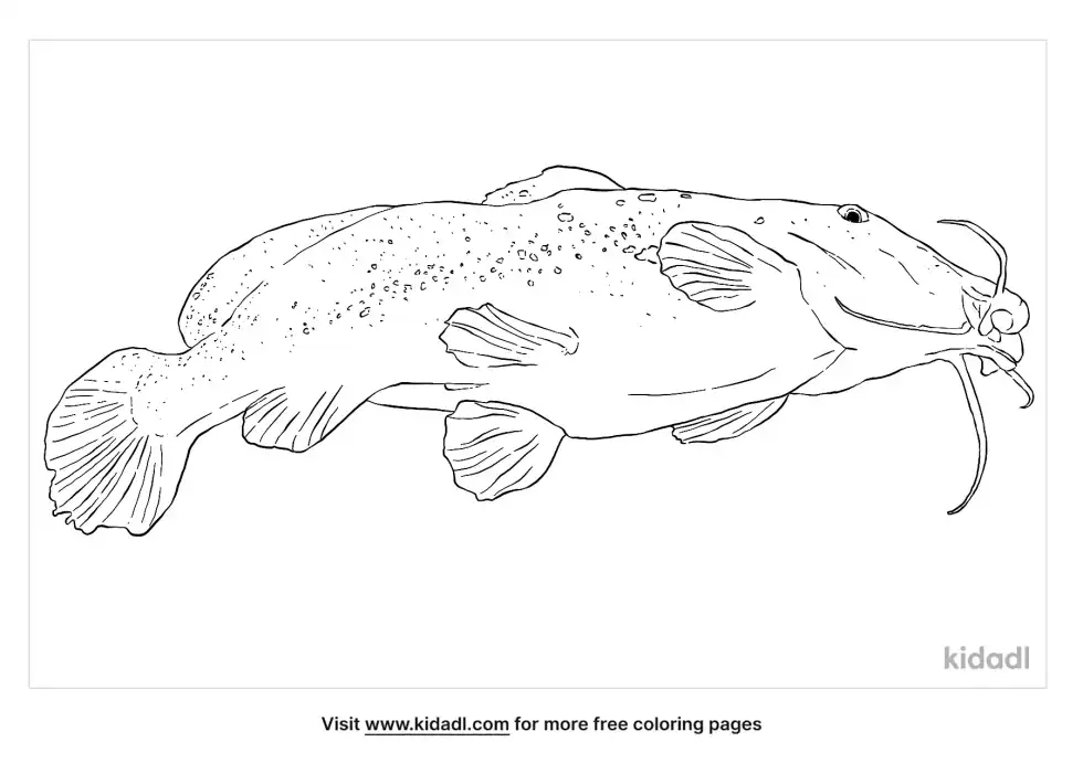 Giraffe Catfish Coloring Page
