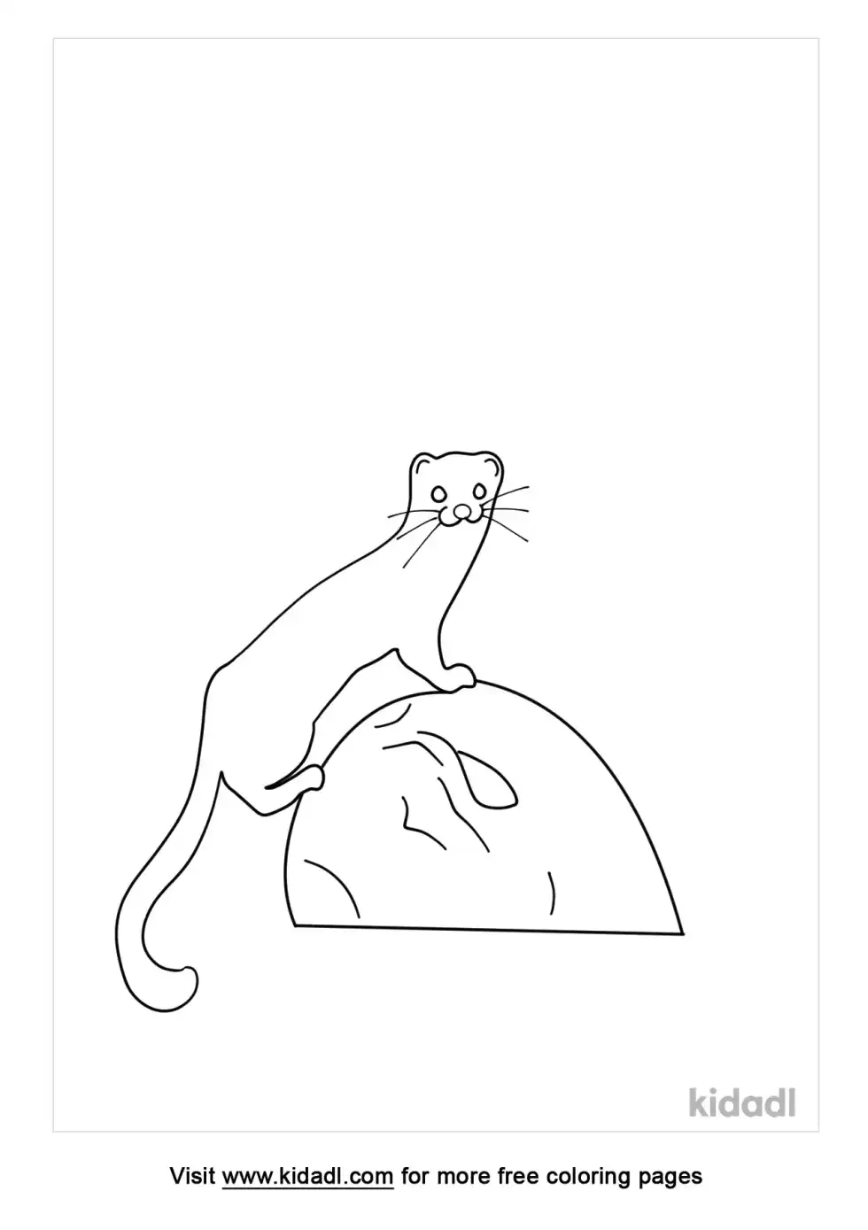 Weasel Coloring Page