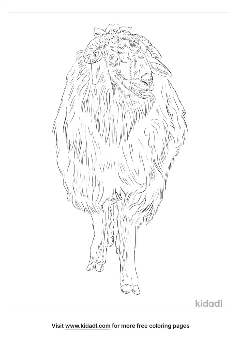 Karakul Coloring Page