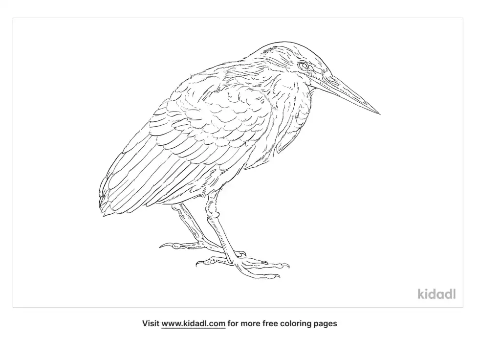Lava Heron Coloring Page