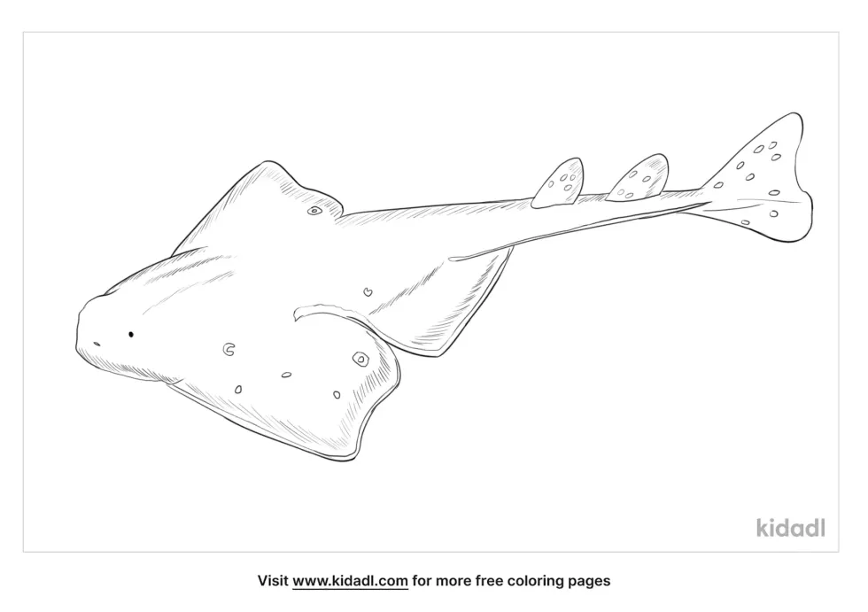 Sawback Angelshark Coloring Page