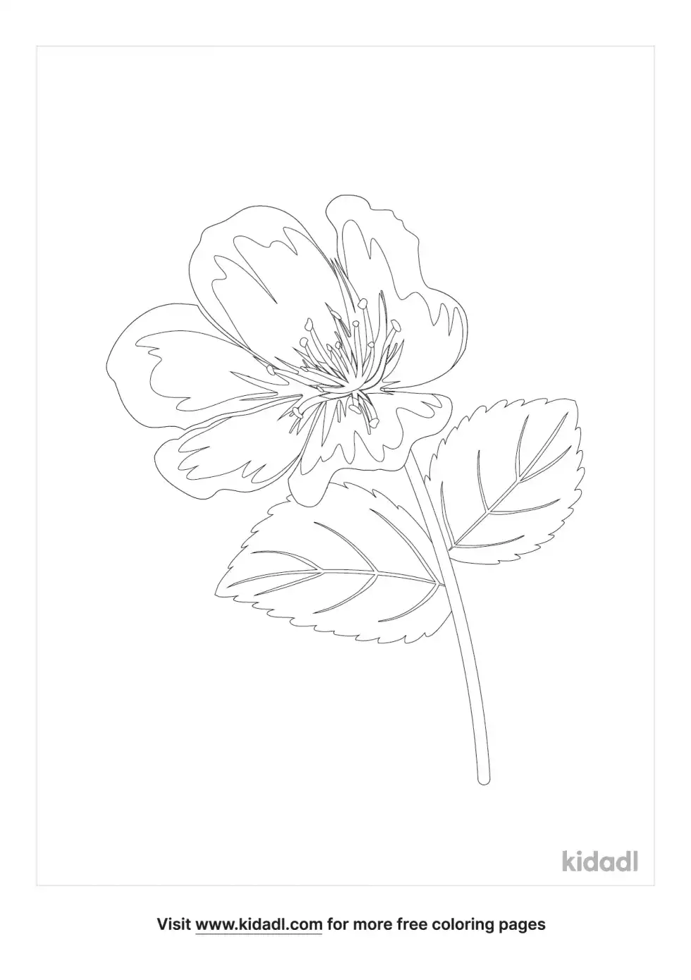 Chickweed Coloring Page